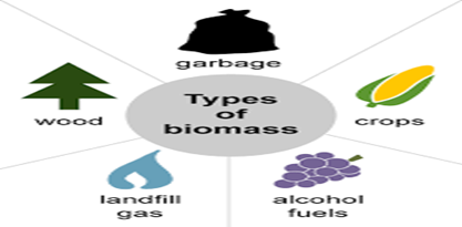 Types of biomass